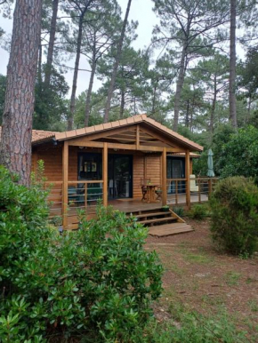 Chalet la lande